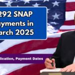 $292 SNAP Payments in March 2025