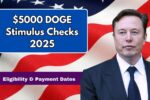 Doge Stimulus Checks 2025
