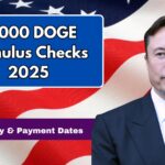 Doge Stimulus Checks 2025
