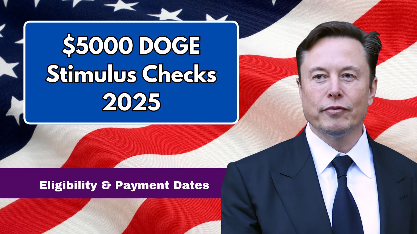 Doge Stimulus Checks 2025