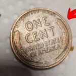 Lincon Wheat Penny