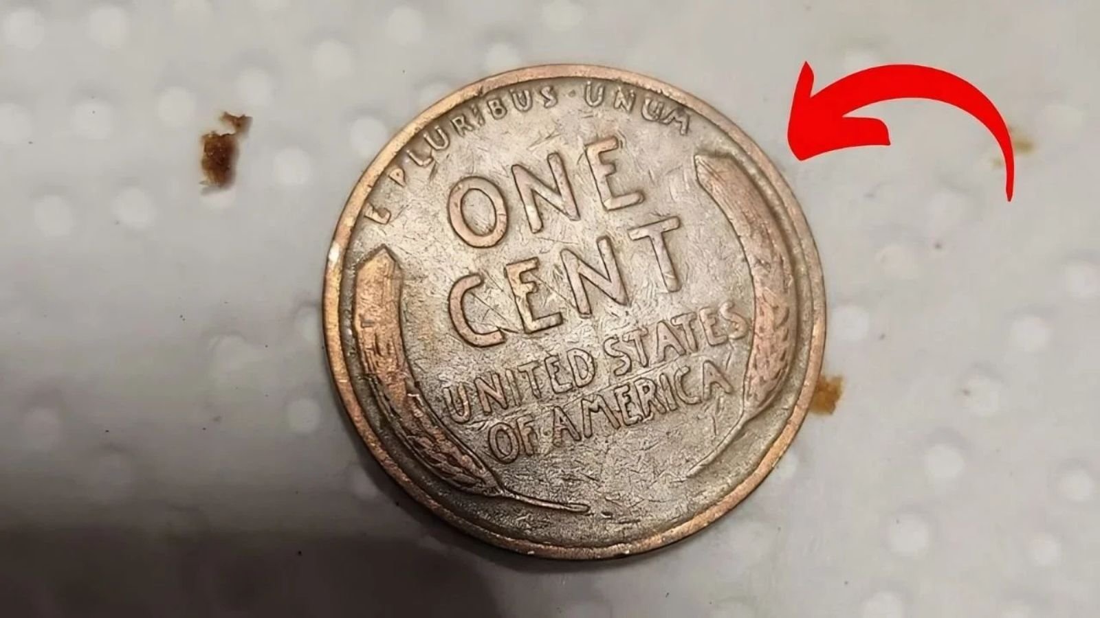 Lincon Wheat Penny