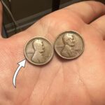 Rare Lincoln Wheat Penny
